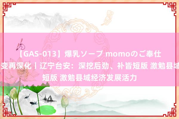 【GAS-013】爆乳ソープ momoのご奉仕 锚定当代化 转变再深化丨辽宁台安：深挖后劲、补皆短版 激勉县域经济发展活力