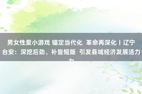 男女性爱小游戏 锚定当代化  革命再深化丨辽宁台安：深挖后劲、补皆短版  引发县域经济发展活力