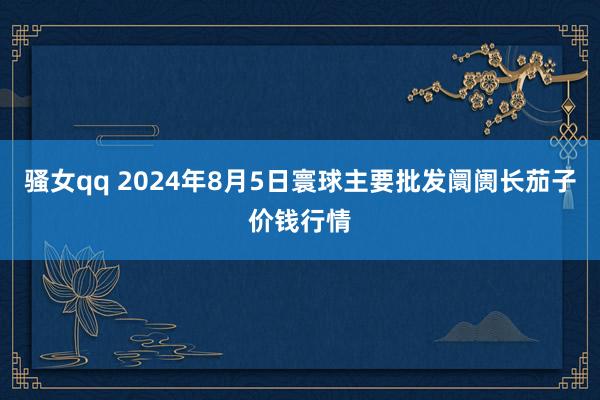 骚女qq 2024年8月5日寰球主要批发阛阓长茄子价钱行情