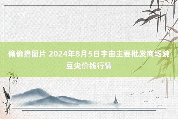 偷偷撸图片 2024年8月5日宇宙主要批发商场豌豆尖价钱行情