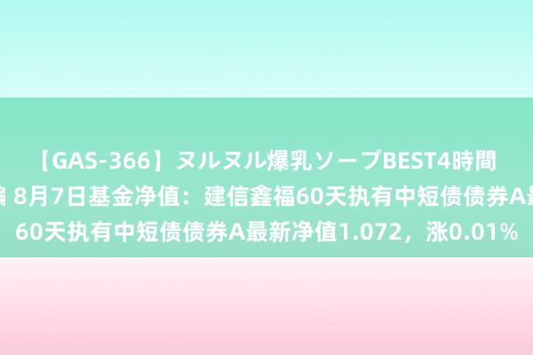 【GAS-366】ヌルヌル爆乳ソープBEST4時間 マットSEX騎乗位特別編 8月7日基金净值：建信鑫福60天执有中短债债券A最新净值1.072，涨0.01%