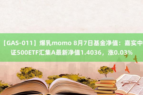 【GAS-011】爆乳momo 8月7日基金净值：嘉实中证500ETF汇集A最新净值1.4036，涨0.03%