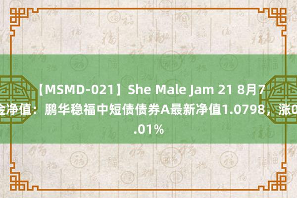 【MSMD-021】She Male Jam 21 8月7日基金净值：鹏华稳福中短债债券A最新净值1.0798，涨0.01%