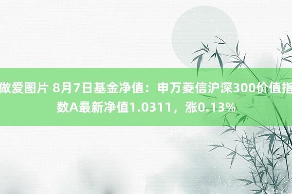 做爱图片 8月7日基金净值：申万菱信沪深300价值指数A最新净值1.0311，涨0.13%