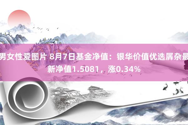 男女性爱图片 8月7日基金净值：银华价值优选羼杂最新净值1.5081，涨0.34%