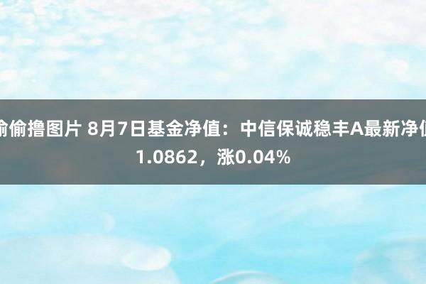 偷偷撸图片 8月7日基金净值：中信保诚稳丰A最新净值1.0862，涨0.04%