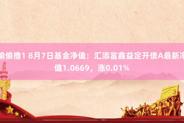 偷偷撸1 8月7日基金净值：汇添富鑫益定开债A最新净值1.0669，涨0.01%