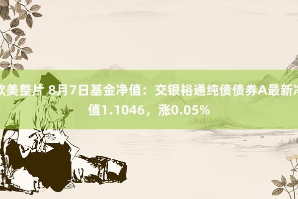 欧美整片 8月7日基金净值：交银裕通纯债债券A最新净值1.1046，涨0.05%