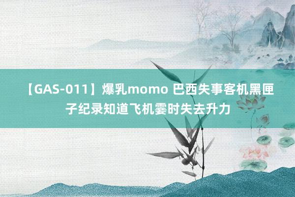 【GAS-011】爆乳momo 巴西失事客机黑匣子纪录知道飞机霎时失去升力