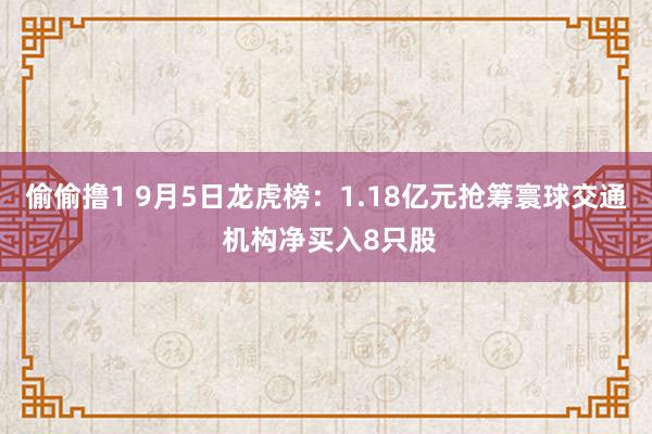 偷偷撸1 9月5日龙虎榜：1.18亿元抢筹寰球交通 机构净买入8只股