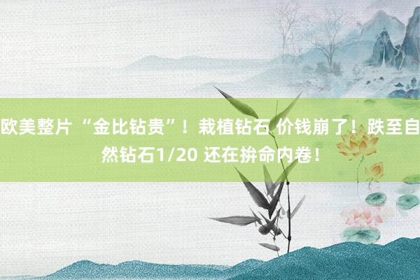 欧美整片 “金比钻贵”！栽植钻石 价钱崩了！跌至自然钻石1/20 还在拚命内卷！