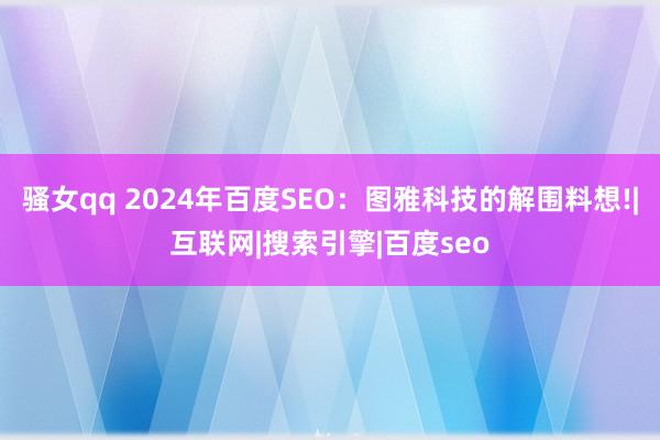 骚女qq 2024年百度SEO：图雅科技的解围料想!|互联网|搜索引擎|百度seo