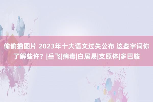 偷偷撸图片 2023年十大语文过失公布 这些字词你了解些许？|岳飞|病毒|白居易|支原体|多巴胺