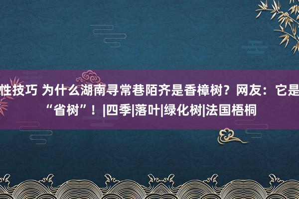 性技巧 为什么湖南寻常巷陌齐是香樟树？网友：它是“省树”！|四季|落叶|绿化树|法国梧桐