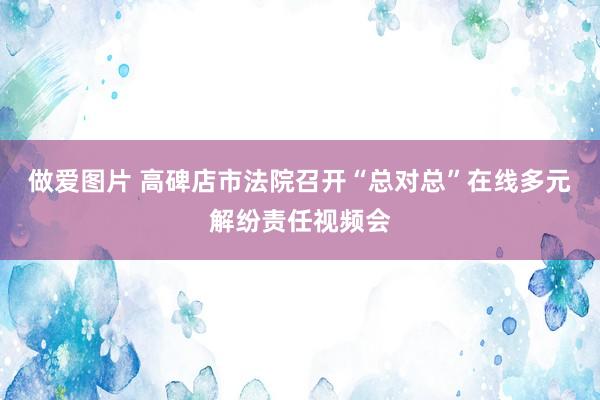 做爱图片 高碑店市法院召开“总对总”在线多元解纷责任视频会