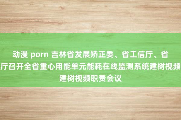 动漫 porn 吉林省发展矫正委、省工信厅、省市集监管厅召开全省重心用能单元能耗在线监测系统建树视频职责会议