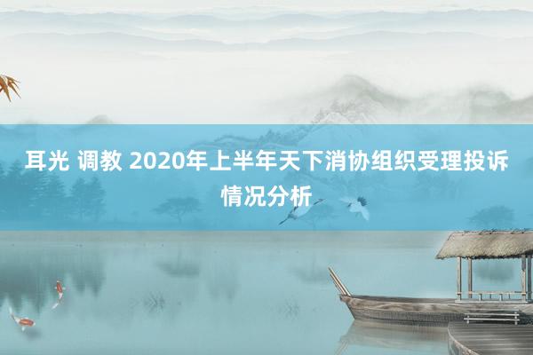 耳光 调教 2020年上半年天下消协组织受理投诉情况分析